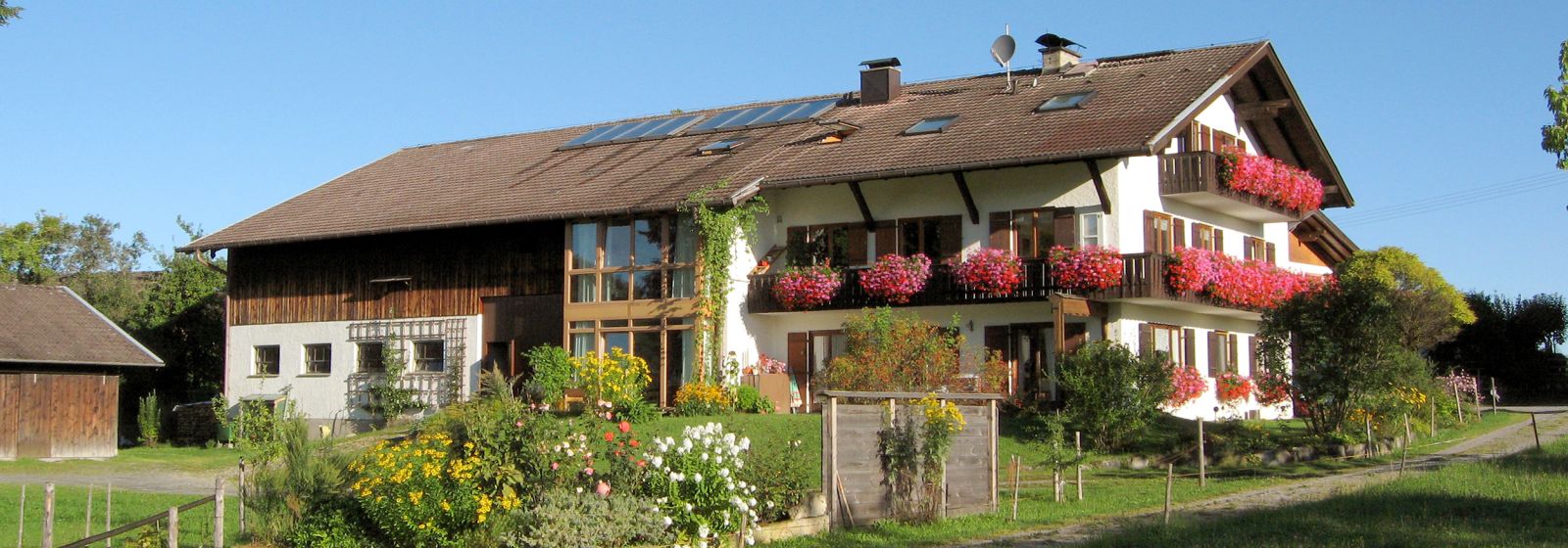 Haus