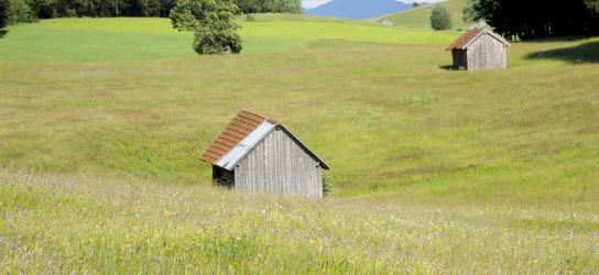 Moorlandschaft in den Ammergauer Alpen