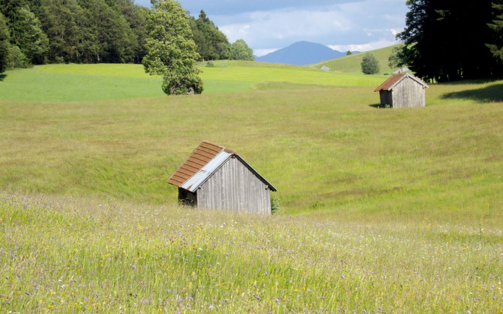 Moorlandschaft in den Ammergauer Alpen