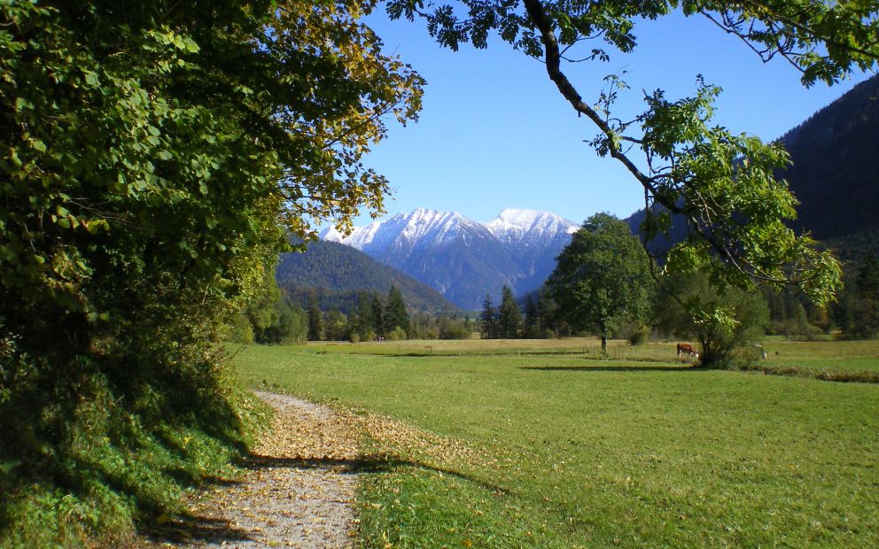 Wanderweg in der Region Ammergauer Alpen