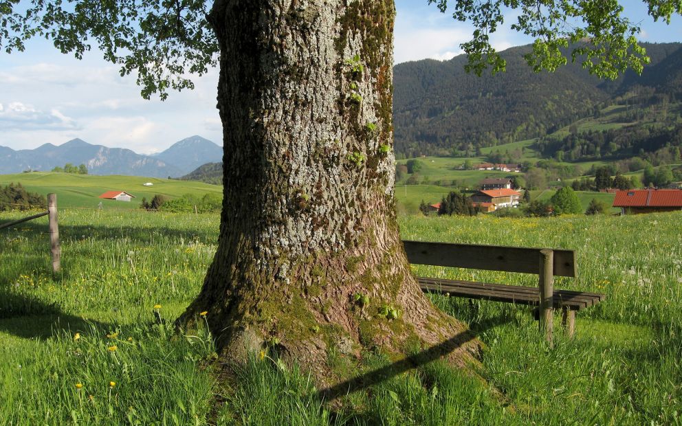Landschaft
