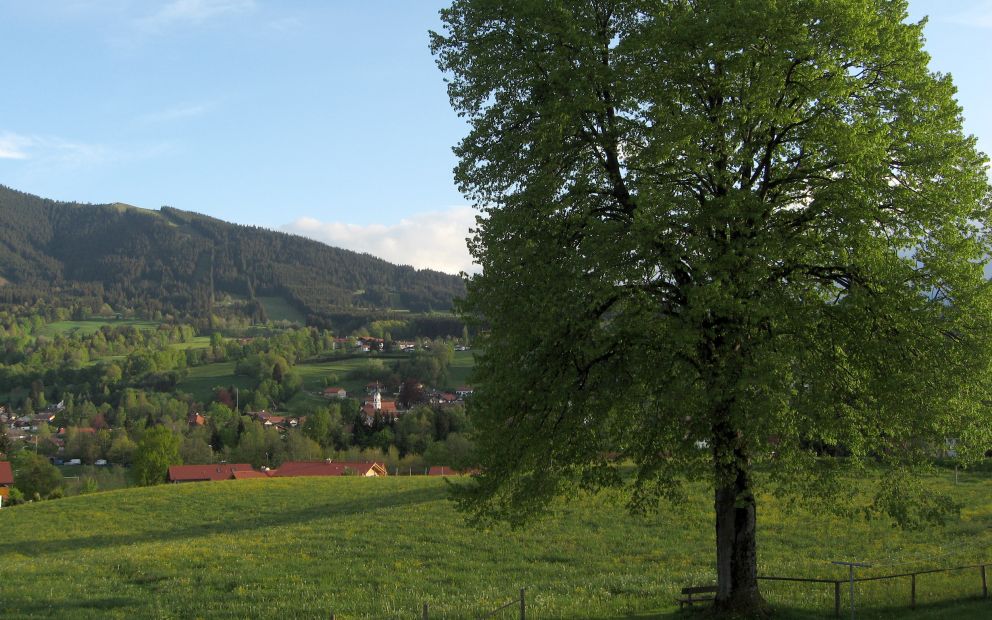 Landschaft
