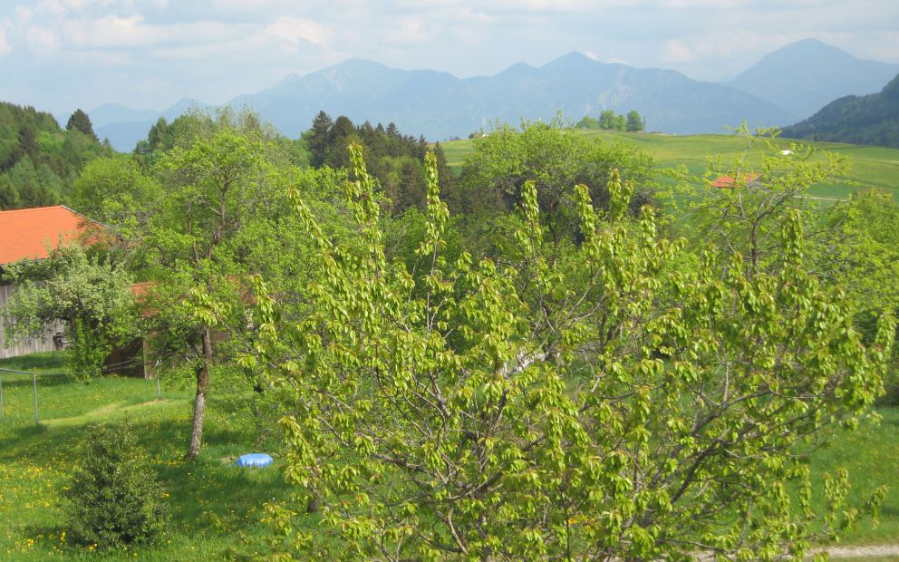 Landschaft